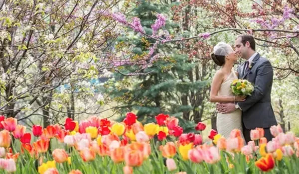 spring-wedding-chicago-500x457