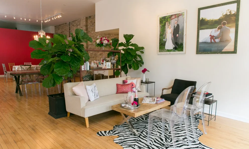 studio_starling_lola_02